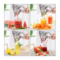 SUNUP NARENCİYE MEYVE SIKACAĞI