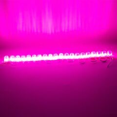 Powermaster 12 Volt 1.5 Watt Pembe 2835 85 X 73 Mm IP65 240 - 260 Lümen 180 Derece Modül Led